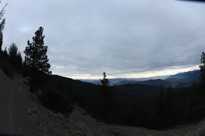 DSC_0118 (Large).JPG